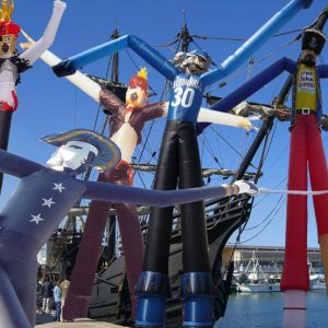 Various Pirate designs