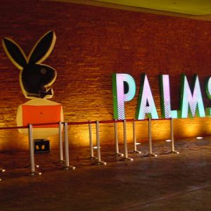 PLAYBOY GOLF BALL & CLUB