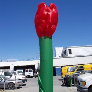 10' Red Rose