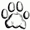 Lion Skydancer