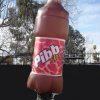 pibb extra