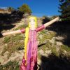 Repunzelpd
