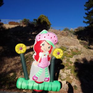 Strawberry Shortcake